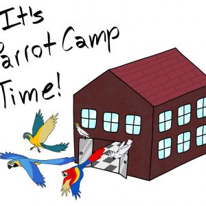 Ziggy's Haven Bird Sanctuary Camp