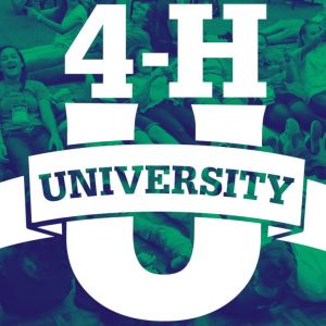 4-H University