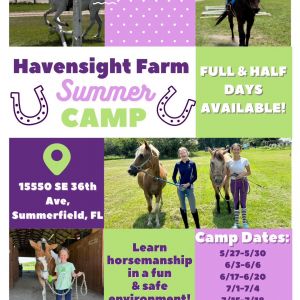 Havensight Farm Summer Camp