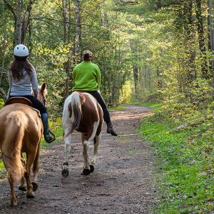 Ocala One Hundred Mile Horse Trail