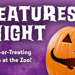 10/18 - 10/20 St. Augustine Alligator Farm Zoological Park Trick-or-Treat at Creatures of the Night