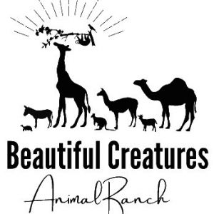 Beautiful Creatures Animal Ranch Birthday Parties