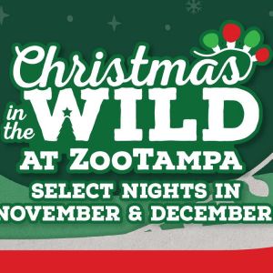 11/29 - 12/30 Zoo Tampa Christmas in the Wild