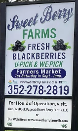 Sweet Berry Farms Farmer's Market