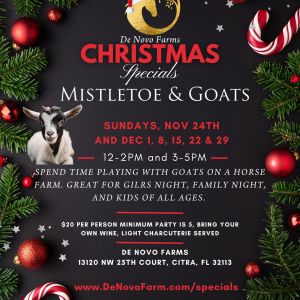 De Novo Farms Mistletoe and Goats