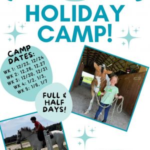 Havensight Farm Holiday Camp