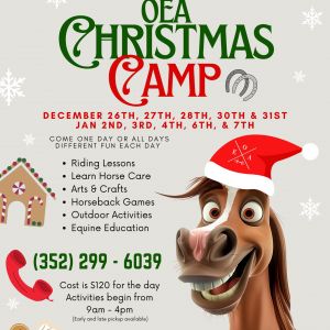 Ocala Equestrian Academy Winter Horse Camp