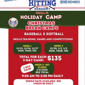 The Hitting Academy Christmas Camp