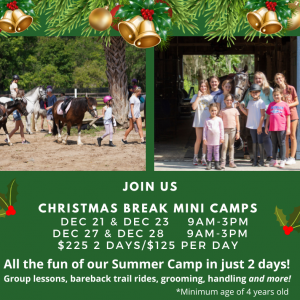 Eden Farm Ocala Christmas Break Beginner Riding Camps