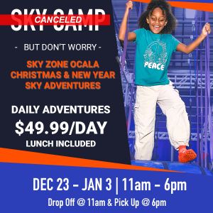 Sky Zone Holiday Sky Adventures