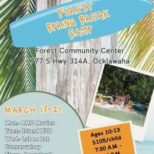 Forest Spring Break Camp