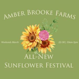 3/22-3/30 Amber Brooke Farms Sunflower Festival