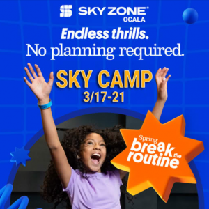 Sky Zone Sky Camp