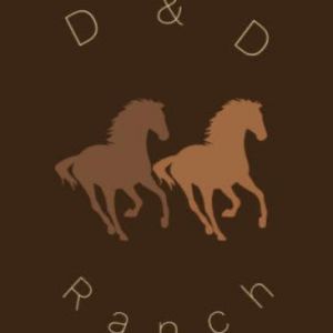 D & D Ranch Spring Break Camp