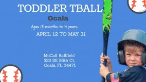 Toddler TBall