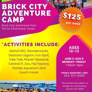 Brick City Adventure Camp