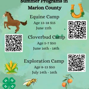 Marion County 4H AG Exploration Camp