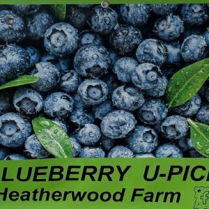 Heatherwood Farm