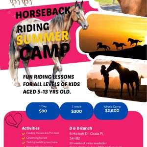 D & D Ranch Camp