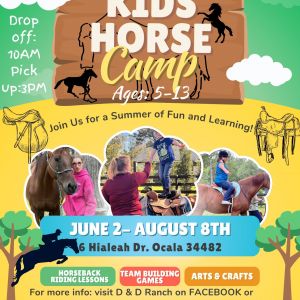 D & D Ranch Camp
