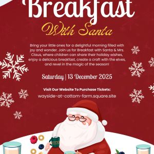 12/13 Cottom Farm's Christmas Village - Pancakes with Santa