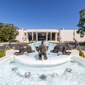 Appleton Museum of Art