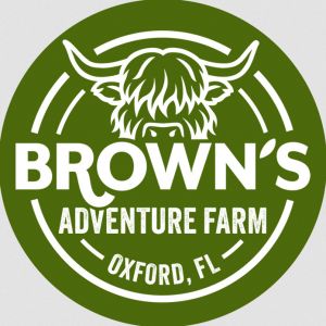 Brown & Brown's Fall Festival and Corn Maze