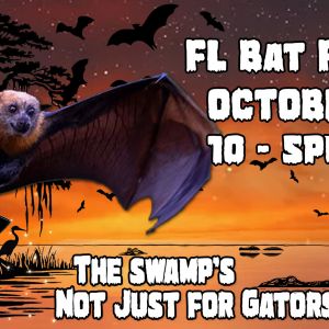 10/25 Lubee Bat Conservancy Florida Bat Festival