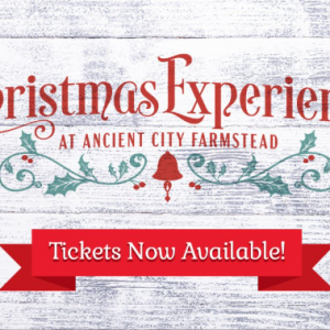 11/28-12/21 Ancient City Farmstead Christmas Experience