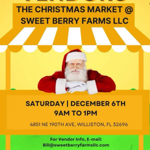 12/06 Sweet Berry Farms Christmas Market