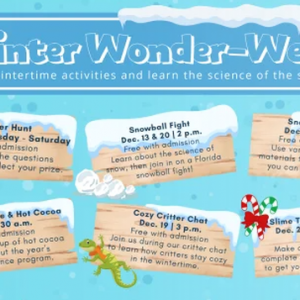 12/13 - 12/20 Discovery Center Winter Wonderland Week
