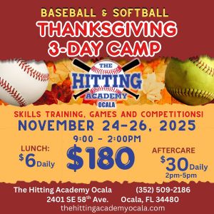 Hitting Academy Thanksgiving Camp