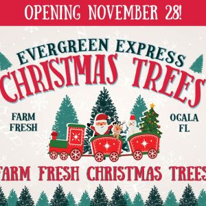 Evergreen Express Christmas Trees at Compassion UMC