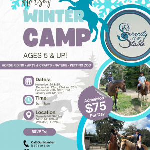 Serenity Hill Stable Winter camp