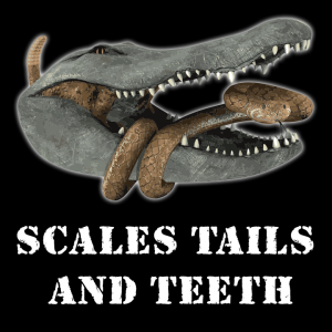 Scales Tails and Teeth Wildlife Park