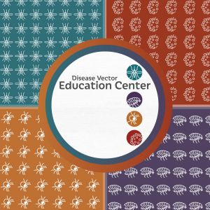 St. Augustine - Disease Vector Education Center