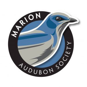 Marion Audubon Society Nature Walks and Education Programs
