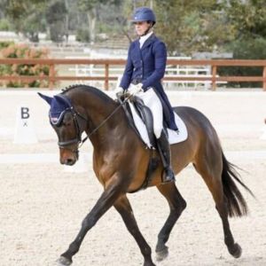 Jess Taylor Charis Equestrian