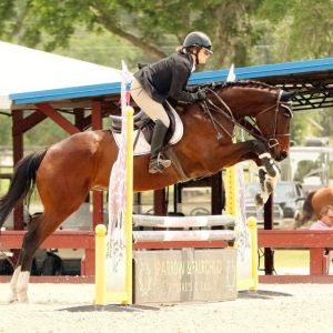 Serenity Hill Stable