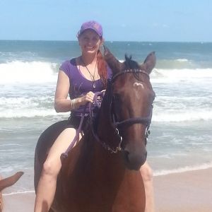 Mustang Moon Equine Solutions