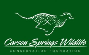 10/30 - 10/31 Halloween Drive-Thru at Carson Springs Wildlife