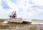 Wild Bill's Airboat Tours