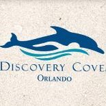 Orlando - Discovery Cove