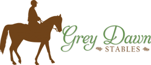Grey Dawn Stables Riding Lessons