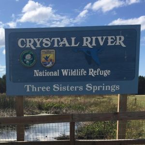 Crystal River - Three Sisters Springs Wildlife Refuge