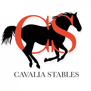 Cavalia Stables Riding Lessons