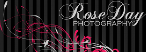 Rose Day Photography Event and Party Sessions